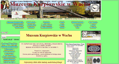 Desktop Screenshot of muzeum.kurpie.com.pl